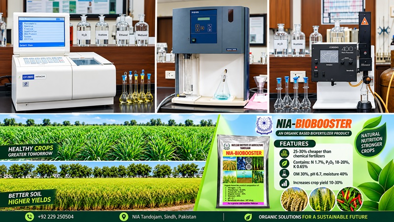 Soil and Environmental Science